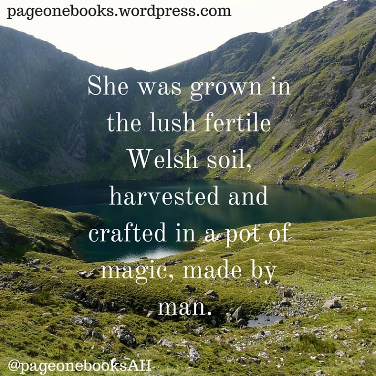 She was grown in the lush fertile Welsh soil, harvested and crafted in a pot of magic, made by man.